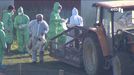 Sacrifican cerca de mil patos en una granja de Zuberoa debido a la gripe aviar
