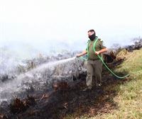 Argentina pide ayuda internacional para poder sofocar los incendios que asolan la provincia de Corrientes 