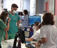 El Gobierno Vasco recurrirá la orden del Ministerio que impone la mascarilla en hospitales y ambulatorios