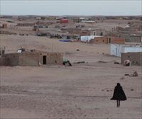 Fronte Polisarioa: Sanchezek trukerako erabili du saharar herria