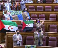 Diputados de Unidas Podemos muestran banderas del Sahara Occidental en el Congreso