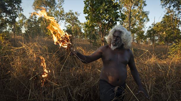'Salvar los bosques con el fuego' de  Matthew Abbott