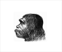 Neandertalak Barrikan