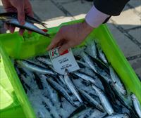 La flota vasca ha pescado hasta mayo 4620 toneladas de anchoa y 7945 de verdel