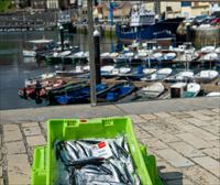 Arranca la costera de la anchoa para los pescadores de Gipuzkoa y Bizkaia