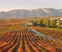 El Gobierno Vasco apoyará a las bodegas que abandonen la DOC Rioja para crear Viñedos de Álava