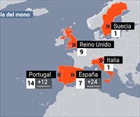 La Comunidad de Madrid confirma 7 casos de la viruela del mono, y está investigando otros 24