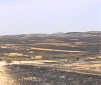 El incendio de la zona de Tafalla sigue activo, pero en fase de estabilización