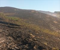 Incendio forestal en el monte Arastortz, entre Ataun, Lazkao y Zaldibia