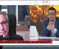 Villarroel: Todo lo que está ardiendo son especies mediterráneas, mucho más resistentes al fuego