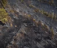 La destrucción dejada por el incendio de la zona media de Navarra, desde el aire