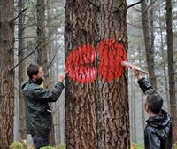 El nuevo Bosque de Oma podrá visitarse, mediante reserva previa, durante este verano