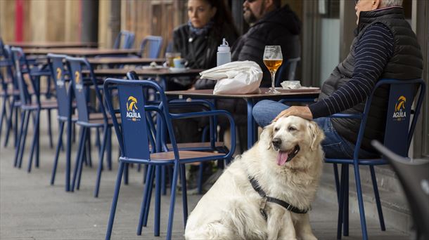 Un perro en una terraza de Vitoria-Gasteiz. 