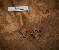 La cara más antigua de Europa está en Atapuerca. La expansión del anticiclón de las Azores amenaza con sequía