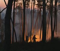 Portugal lucha contra varios incendios forestales en el norte y el centro del país