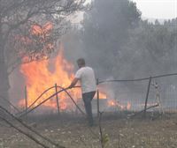 Una docena de incendios arrasan el centro y el sur de Portugal
