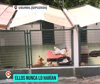 En los últimos años han disminuido los abandonos de perros en Euskal Herria