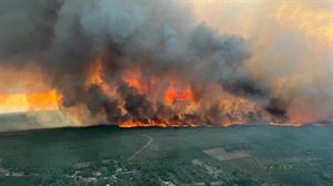 Un grave incendio arrasa 6000 hectáreas en Gironda y Las Landas, y obliga a evacuar a 8000 personas
