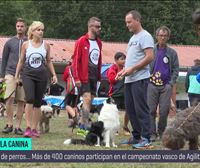 Más de 400 perros se dan cita en el campeonato vasco Agility Séxtuple