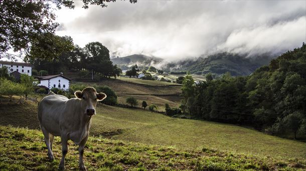 El entorno rural es un gran atractivo para el turismo. Foto de Juan Lameirinhas cedida a EITB. 