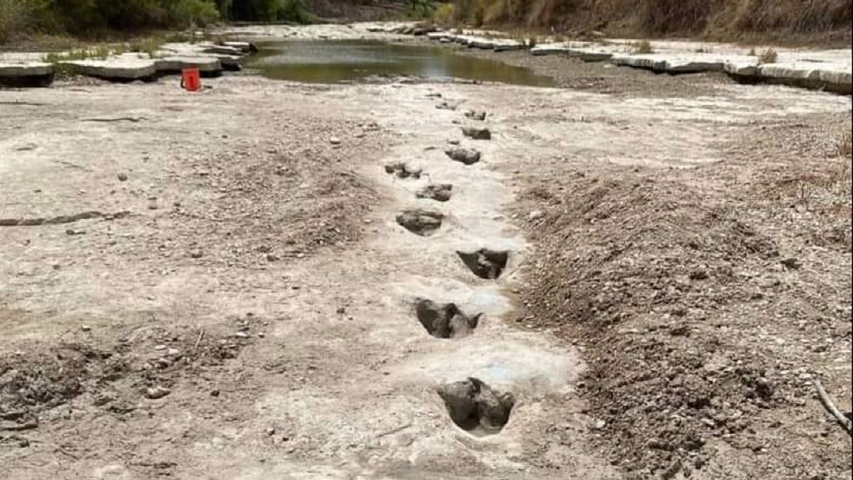 Vídeo: La sequía deja al descubierto huellas de los dinosaurios de hace 113  millones de años en Texas