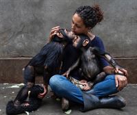 Un santuario para monos y chimpancés huérfanos en el Congo