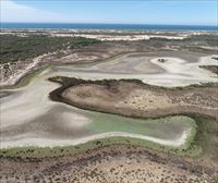 Se seca la última laguna permanente de Doñana por la sequía y la sobreexplotación de acuíferos