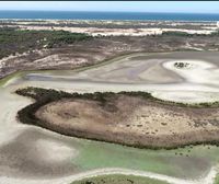 Se queda sin agua la última laguna permanente en el Parque Natural de Doñana