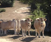 El Gobierno de Navarra convocará a la Mesa de Sequía para escuchar a agricultores y ganaderos