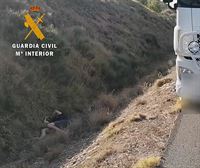 Detenido un camionero en La Rioja por superar siete veces la tasa de alcoholemia