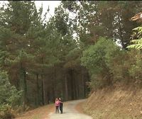 La temporada de riesgo de incendios comenzará en Euskadi con el otoño