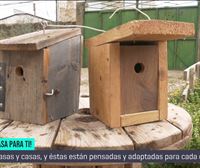 Clase rápida sobre cajas nido por Ismael Cantón