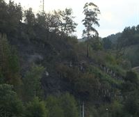 Los guardas forestales controlan la zona calcinada de Balmaseda, y la Diputación de Bizkaia evalúa los daños