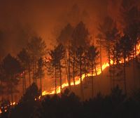 El incendio de La Arboleda es ''extenso'' y bomberos de cuatro parques trabajan en su extinción