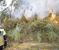 El fuerte viento mantiene en alerta a los bomberos en Berango