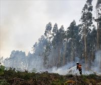 Incendios en Berango y La Arboleda 