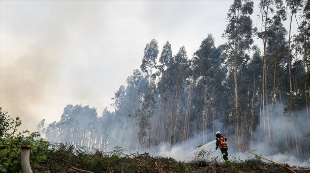 Incendio forestal en Bizkaia. Foto de archivo: EFE