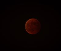 ¿Dónde se puede ver el eclipse total de luna o luna de sangre del 8 de noviembre?