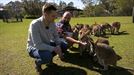 Javier nos lleva a ver canguros, koalas y emús a la reserva de animales ''Symbio Wildlife Park''