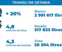 Getariako Txakolina incrementa la producción un 20 % y las ventas un 13 %