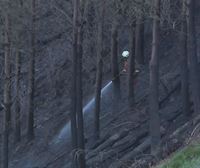 Extinguido un incendio forestal en Zestoa que ha obligado a desalojar a una treintena de vecinos
