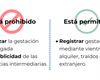 Las claves de la gestación subrogada: Está prohibida en España, pero el registro de los bebés es legal