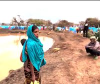 Al Shabaab-en erasoen ondorioz laguntza humanitarioa etenda egon da 7 hilabetez Elkeren, Etiopian