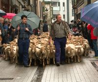 Cientos de ovejas recorren las calles de Ordizia en el Artzain Eguna