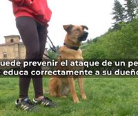 Xabi Arrese, instructor canino: ''Los dueños hemos olvidado que hay que dedicarle tiempo a educar al perro''