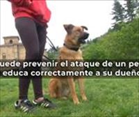 Xabi Arrese, instructor canino: Dedicarle tiempo al perro evitaría muchos ataques