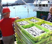 La anchoa se vende, de media, por debajo de los 2 euros el kilo en lonja