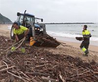 Limpian la playa de Zurriola de San Sebastián tras llenarse de troncos y suciedad por las fuertes tormentas