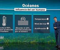 Los océanos absorben el 40 % del CO2 producido por el ser humano
