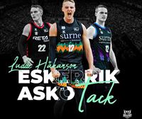 Ludde Hakanson se desvincula del Surne Bilbao Basket